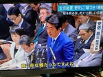 2002 ウソIMG_0003.jpg